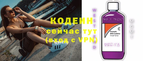 ECSTASY Покров