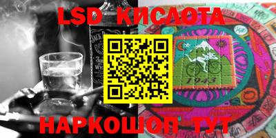 ешки Кингисепп
