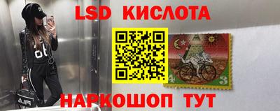 сатива Кимры