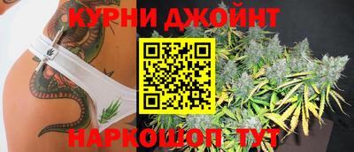 сатива Кимры