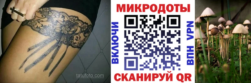 Псилоцибиновые грибы GOLDEN TEACHER  как найти наркотики  Стрежевой 
