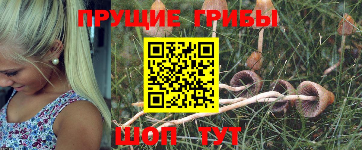 Псилоцибиновые грибы мицелий  Вход с VPN  Стрежевой 